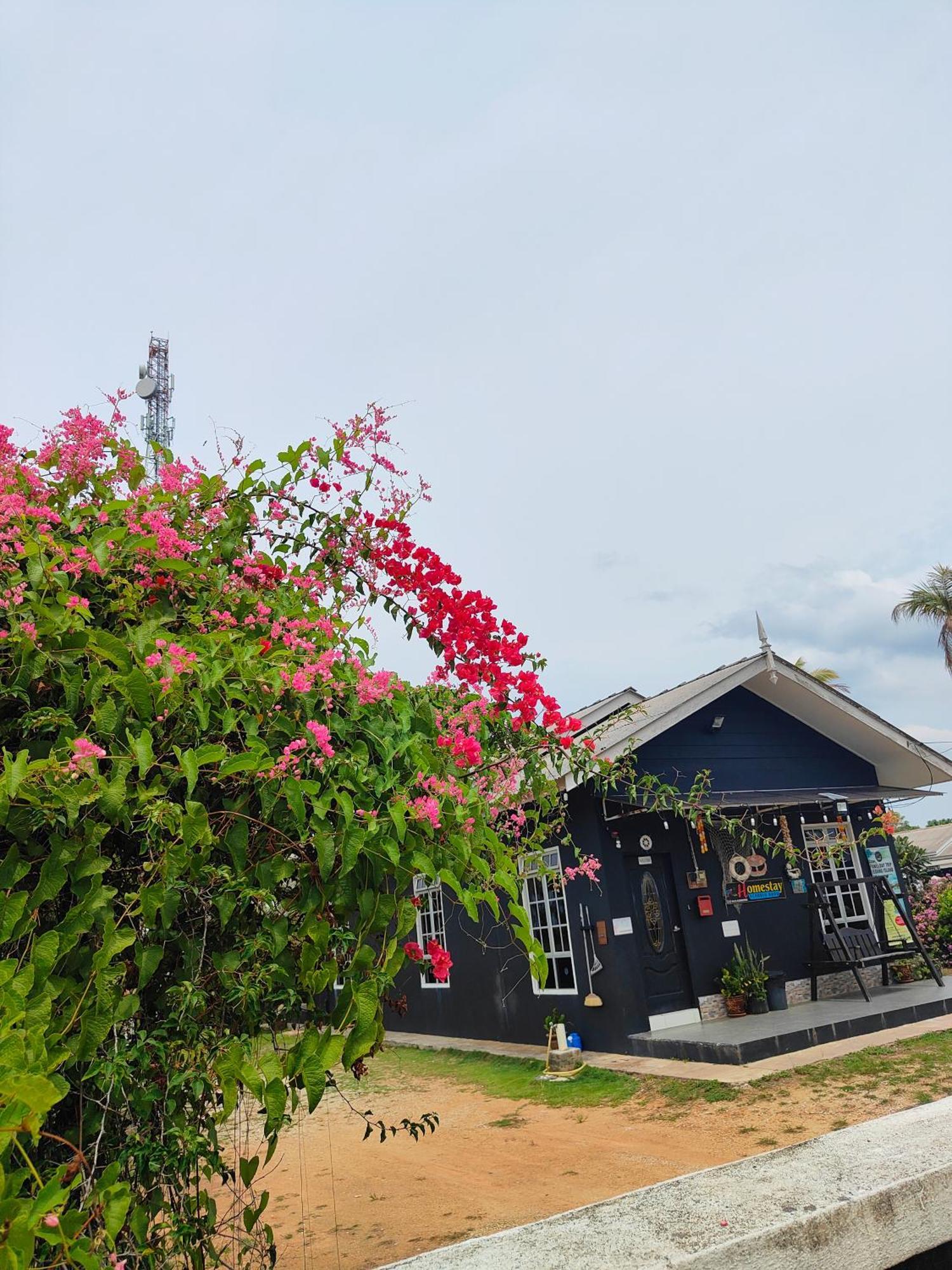 Penarik Baru Homestay Kampung Penarik Esterno foto